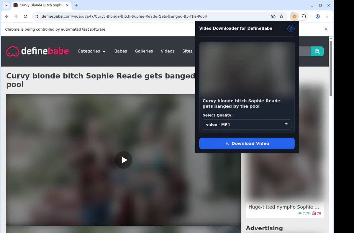Definebabe Video Downloader browser extension screenshot 3